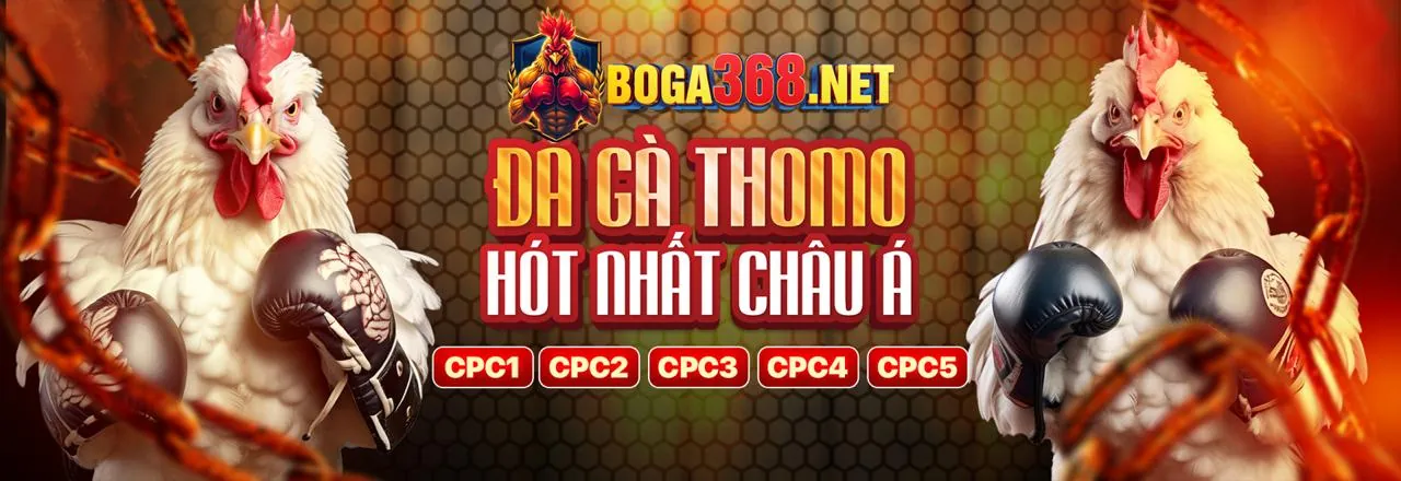 Đá gà trực tuyến 25nk88